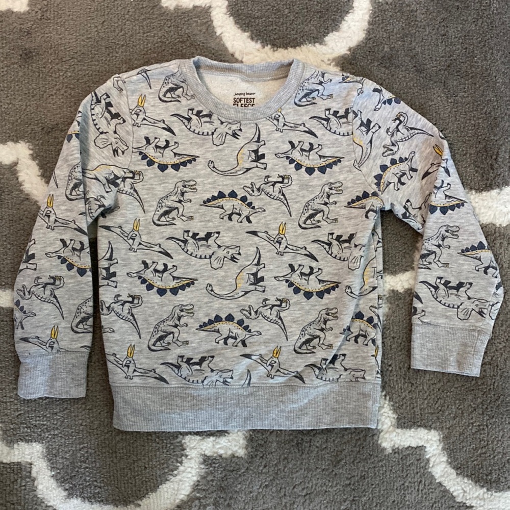 Dinosaur Sweatshirt